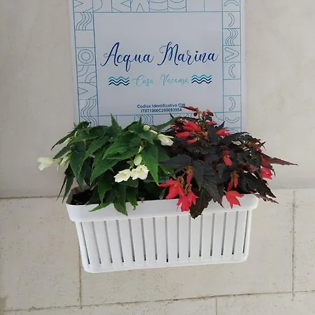 Acqua Marina Casa
